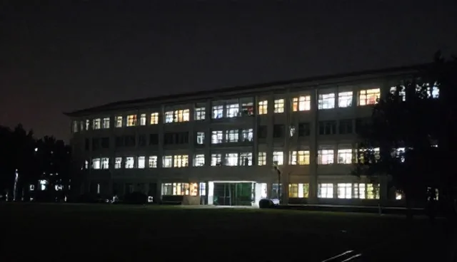 提升配送效率的订单处理优化建议